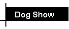 Dog Show